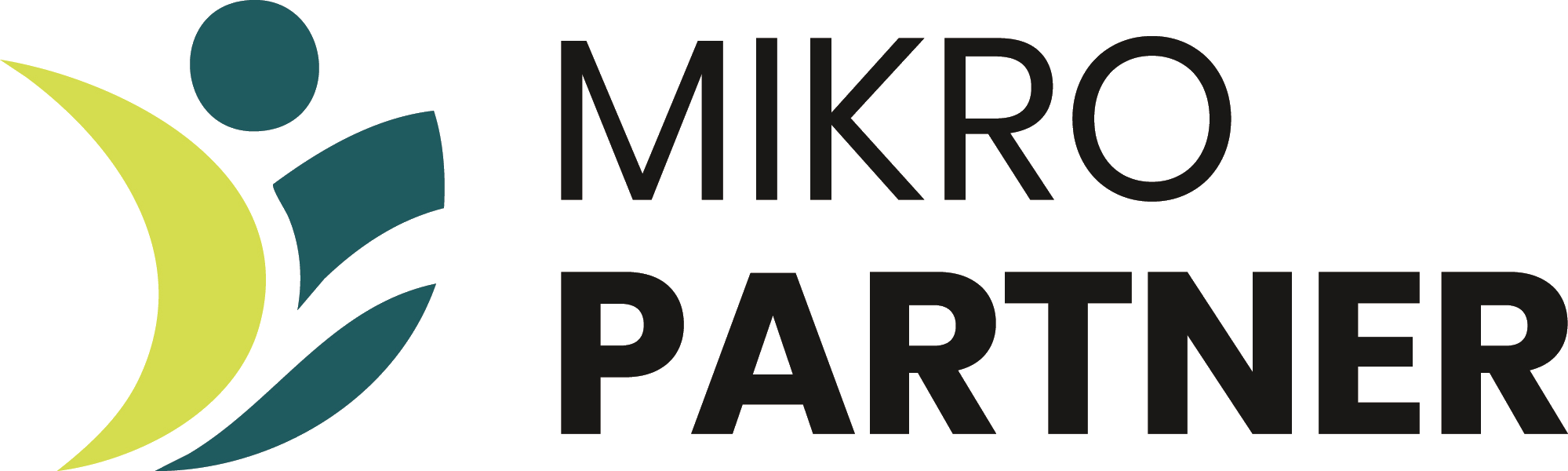 Mikro Partner IT-Support